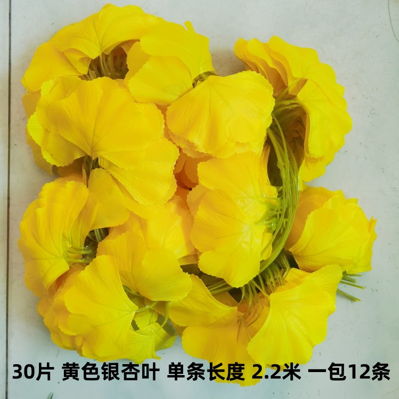 30 hojas de ginkgo biloba amarillo (12 piezas)