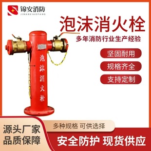 Factory Supply Outdoor Foam Fire Hydrant Fire Foam Fire Hydrant Above Ground Foam Fire Hydrant PS100/65 Fire Fighting