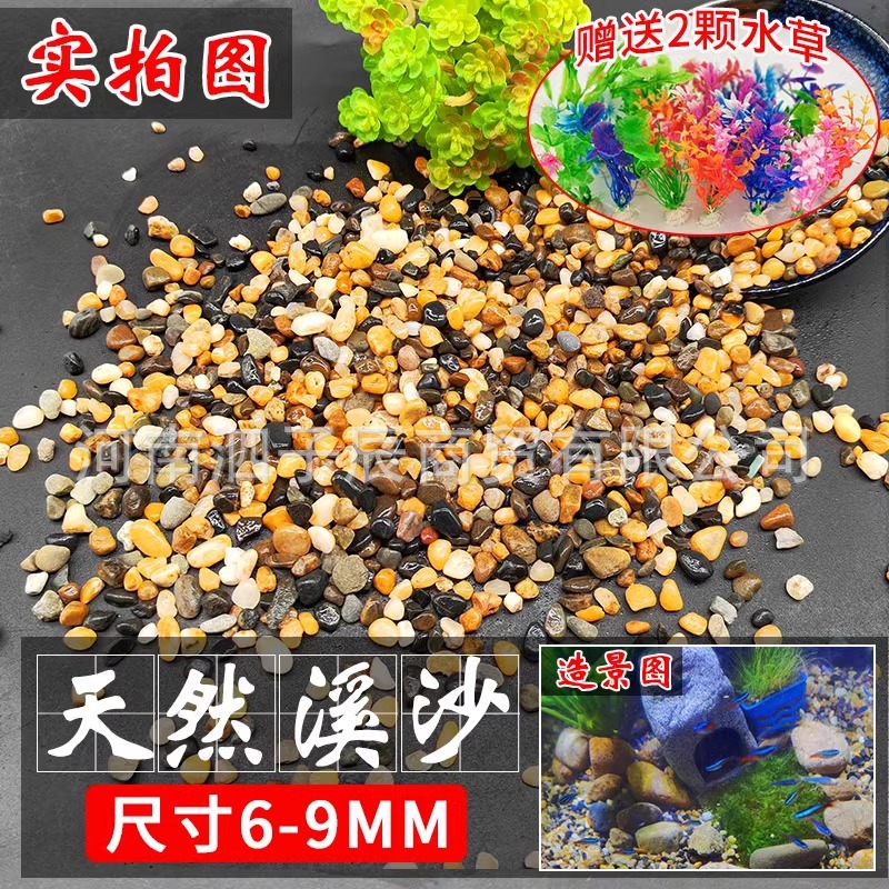 5kg 자연 스트림 돌 6-9mm 시뮬레이션 수생 식물 2 개를 보내