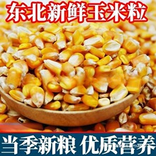 24���|����������10��ι�u�����ӼZ��~ᄾ��¼Z�����������ӼZ