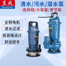 东成潜水泵水井小型抽水机220v家用高扬程农用灌溉排污水泵东成