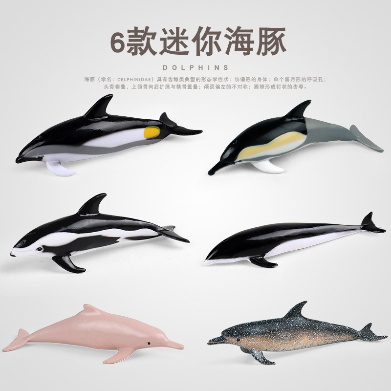兒童科教仿真迷你海豚模型海洋哺乳動物長嘴海豚斑點海豚塑膠玩具