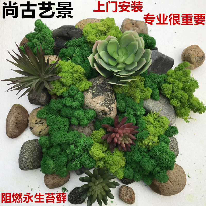 苔藓种植——打造生活自然角落的艺术