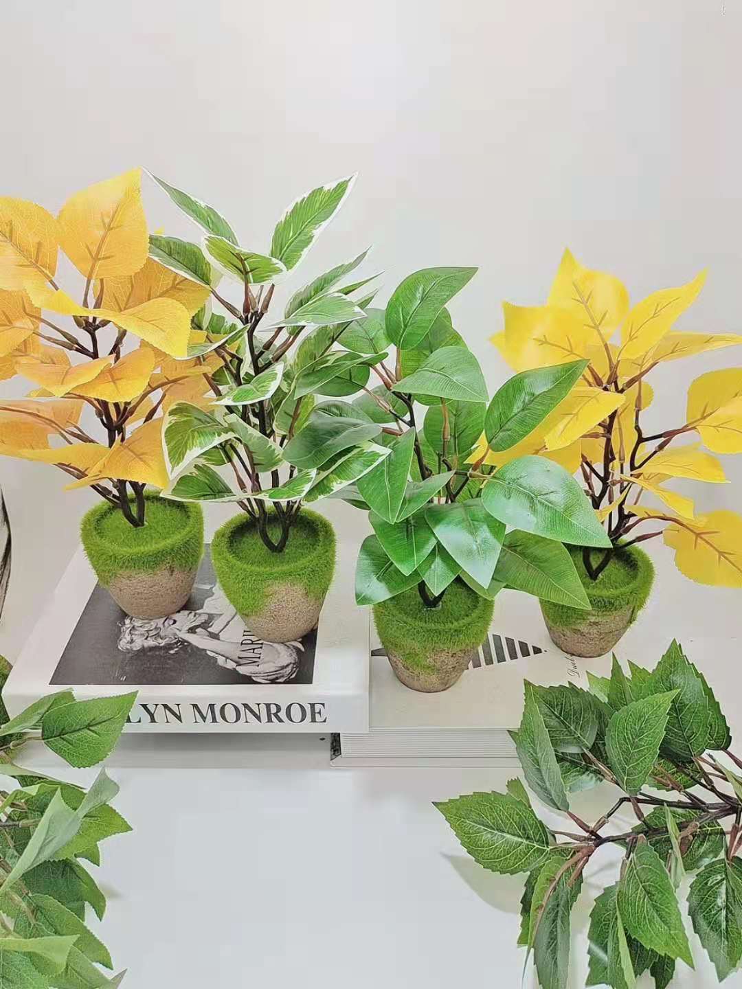 d268d1c54253d75fb366fc5171f3b0