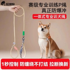 狗狗绳子防爆冲P遛狗牵引绳防挣脱狗子柯基中大型犬拴狗绳p绳