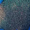 FD blueberries whole 20g/pack