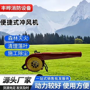 Factory Straight Hair Convenient Iron Hair Dryer Two-stroke Fire Extinguisher Forest Fire Extinguishing Snow and Dust Removal