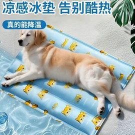 冰垫;充水热水袋;电热水袋