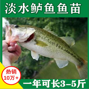 ���|�|�~������|�~��·�����ں��|�~����ˮ��ˮ�Bֳ�~��