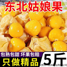 �|����������r����ˮ�����S����������\���t�����ЋD������]