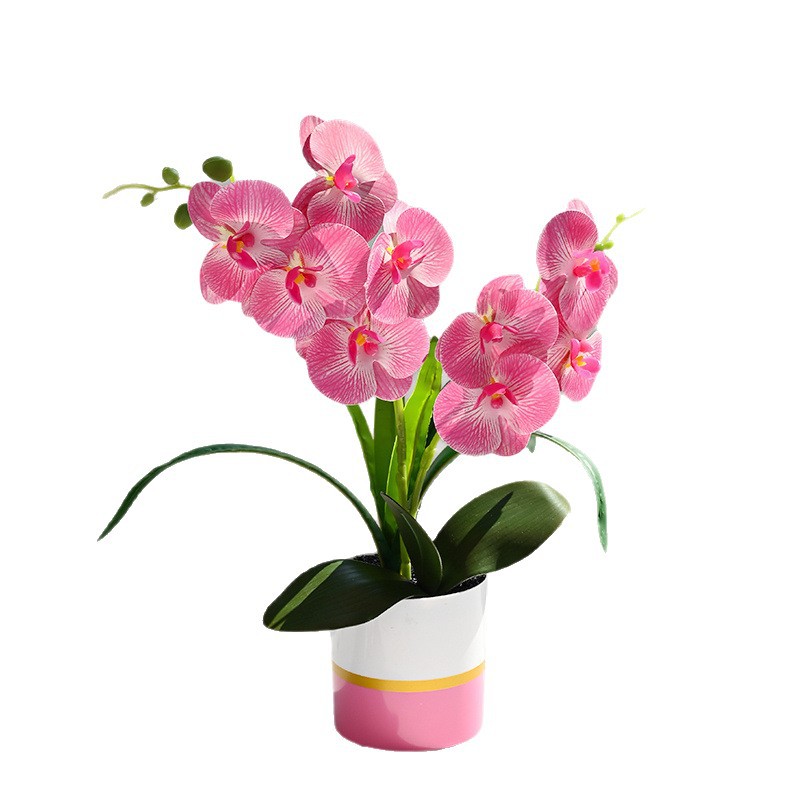 Dos puntas, 9 flores, sensación de phalaenopsis, plantas en macetas, flores de simulación creativa, decoración de estudio fotográfico para el hogar, plantas verdes artificiales, plantas en macetas image 6