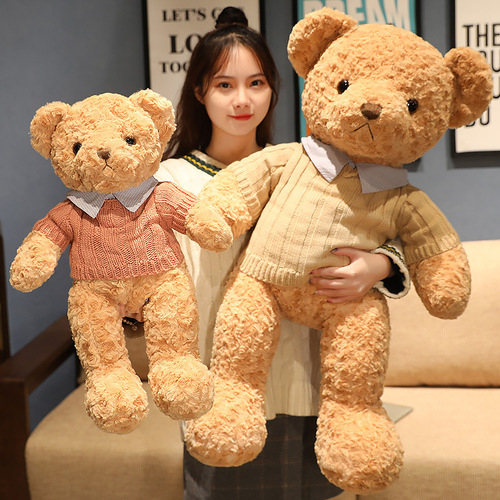Teddy Bear Plush Toy, Small Bear Stuffed Animal, Skin Case Wholesale Gift for Girls, Hug Baby, Large Hug Bear