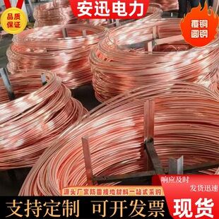 Copper-Plated Round Steel Wholesale Copper-Clad Steel Round Wire Custom National Standard In-Stock Corrosion-Resistant Grid Grounding Conductor Manufacturer Copper-Clad