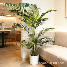 �羳���Q؛Դ����ֲ���P�˿��b͏d��ش��������҃��辰�[����
