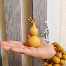 ��Ȼ���J�͏d�k���������b[����С̖����ˌ��Nֲľ���J�����^