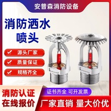 ^DN206893ȸߜ؏N^´ֱ͂ȇ͸ߜ͟