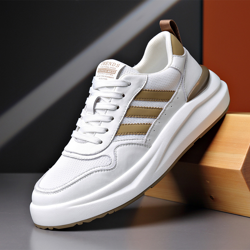 화이트 카드 색상(메쉬)