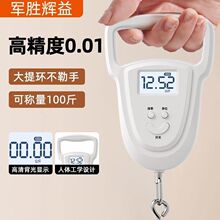 精准手提电子秤kg便携高精度家用迷你快递称小型弹簧秤