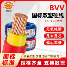 ����BVV 16/25/35ƽ������˫�ܻ����ߴ�ͭ��о˫���Ե��������