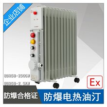 河南郑州BDN58-2500W防爆电热油汀ExdIIBT4功率2.5KW13片电压220V