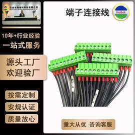 厂家工业凤凰端子电源线 端子台连接线 端子台连接信号线设备线束