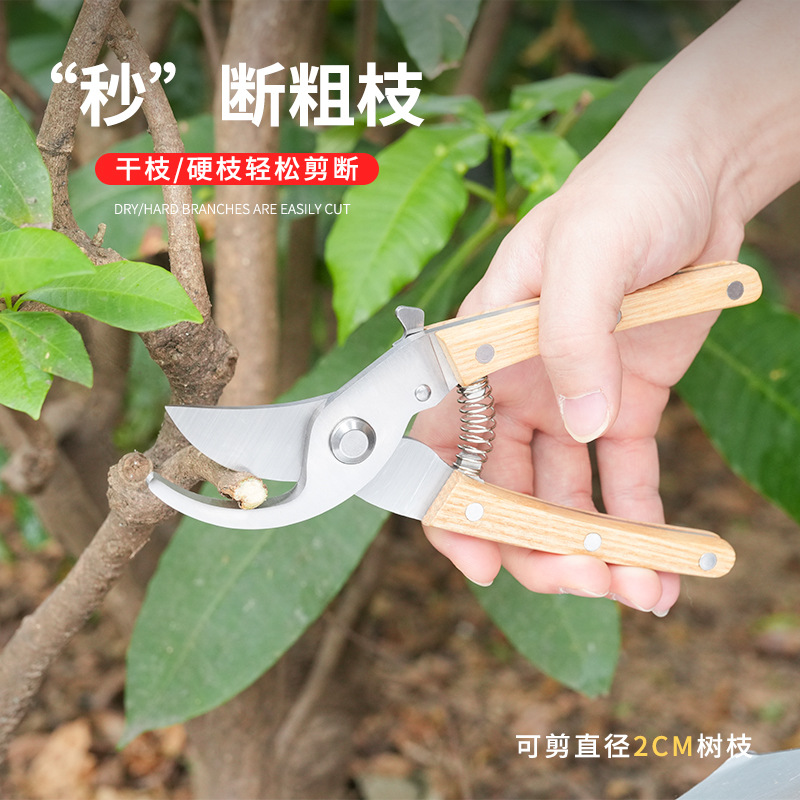 不锈钢园林修枝剪园艺多功能果枝剪摘果剪花园剪刀户外盘景工具