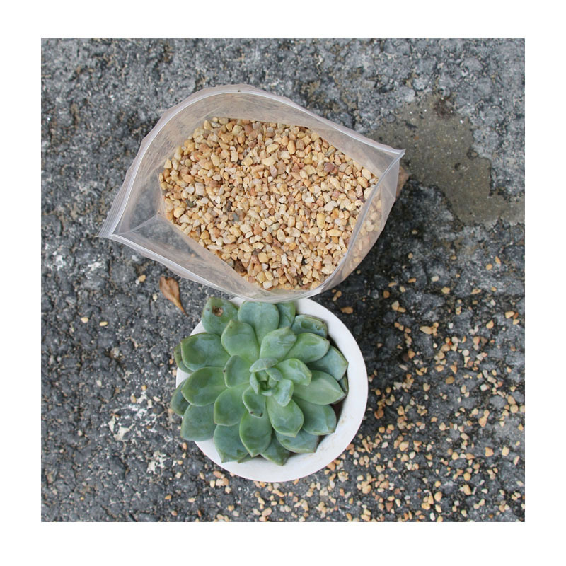 2025��ɫ�����ΰ�ɫ����ʯ��ʯ��ʽͥԺ�쾰ʯ����ֲ������ʯ԰��