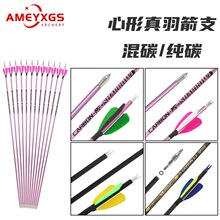 AMEYSGS2Ӣ�����������֧���������C�����y�����⸂��������^