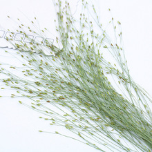 ��Ȫ�����~Ƭֲ��˱��ɻ�����Ѻ�������ֹ����diy���̨��Ϟ