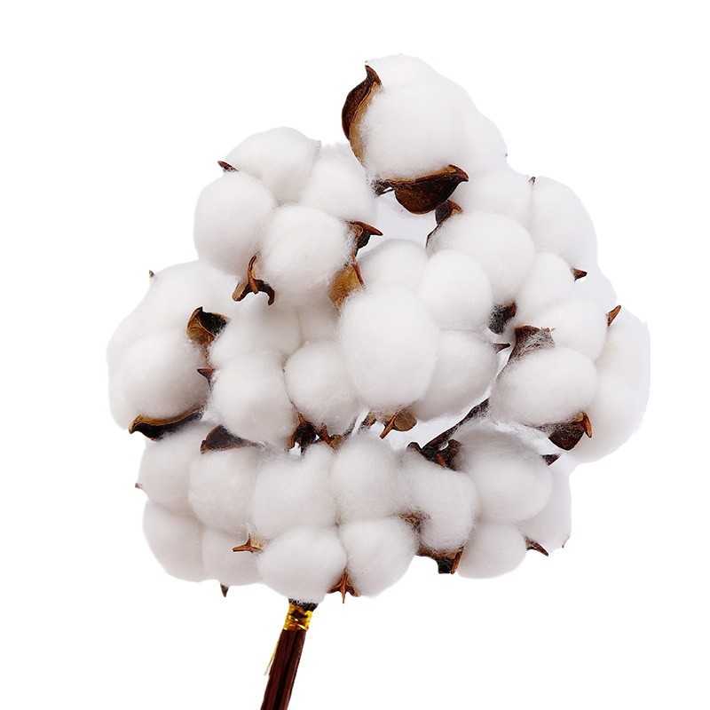 Flor de Año Nuevo flor de madera natural flor seca flor artesanal DIY material de decoración floral material de embalaje lote
