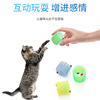 Plastic interactive toy, pet