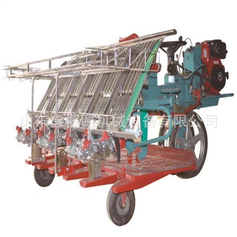 小型手摇插秧机 水稻秧苗种植机 座驾式六行栽秧机 操作简单