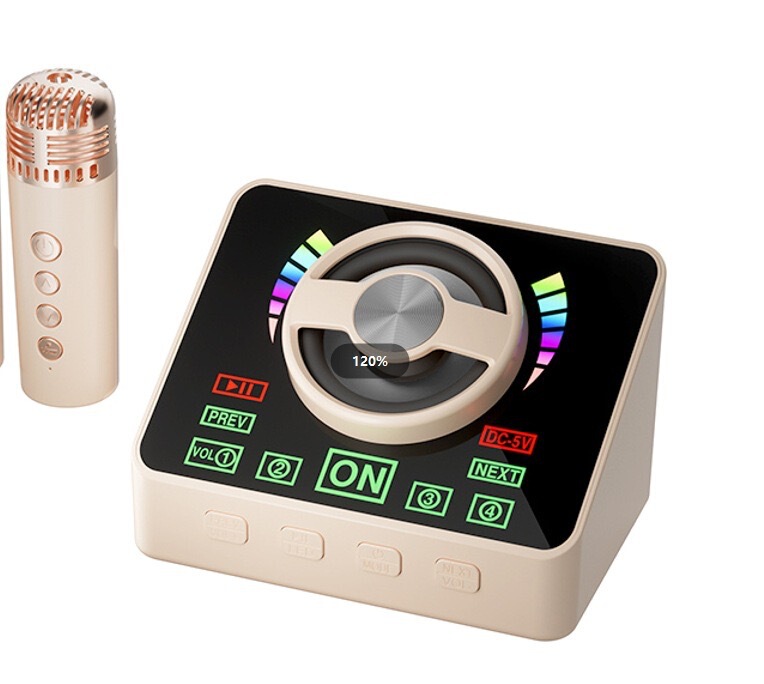 K12K30 Bluetooth カラオケ オーディオ オールインワン マイク マイク ライト付き アウトドア 子供 家族 KTV スピーカー セット|undefined