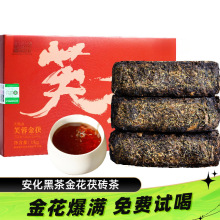 安化黑茶正宗湖南安化黑茶官方旗舰店正品安化黑茶金花茯砖茶