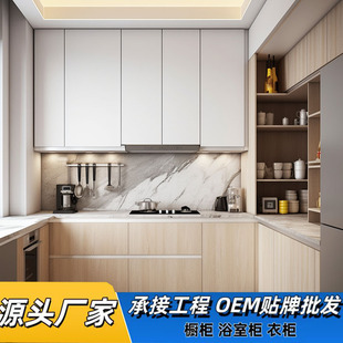 Foshan Factory Foreign Trade Export Modern Casual Style White High Gloss Painted Cabinet Door Panel Wholesale Engineering Standard Cabinet
