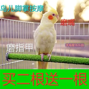 Birdcage Accessories Daquan Parrot Scrub Station Rod Buy 2 Get 1 Get 1 Xuanfeng Tiger Skin Molar Claw Rod Bite Toy Station Rod