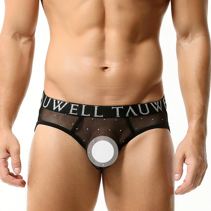 Briefs