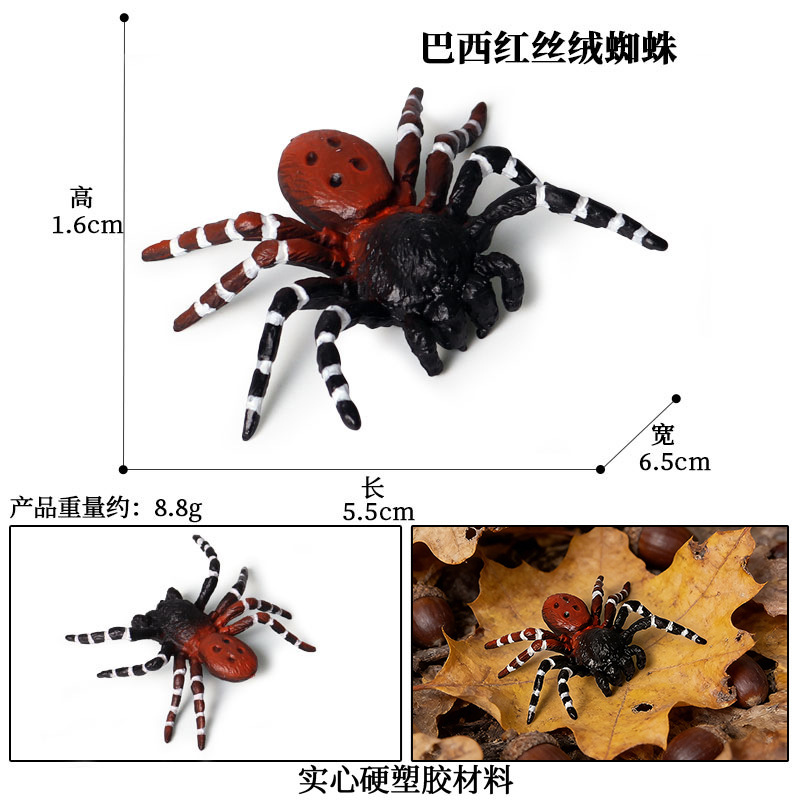 M-684 Araña de terciopelo rojo brasileño