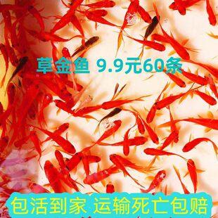 С���~���~�ݽ��~��ˮ�\���~�t�a�~���^�p���B�ͻ����~�����w���