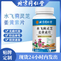 北京同仁堂水飛霊芝ウコン片特殊食事霊芝百合茯苓片現物代発