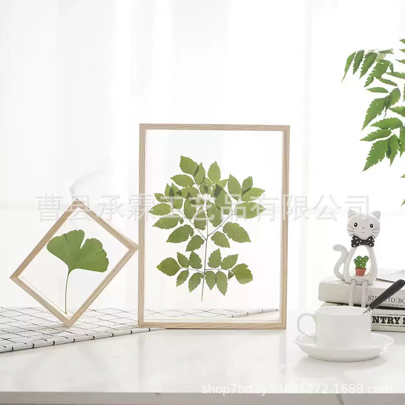 现货实木相框创意双面玻璃植物标本框立体双层手工干花DIY摆台