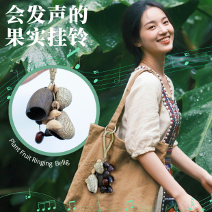 South American Natural Plant Seeds, Shells, Hand Bells, White Noise Bags, Car Pendants, Five Fruits, Good Vision