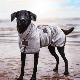 狗狗服装;宠物美容服;狗狗牵引