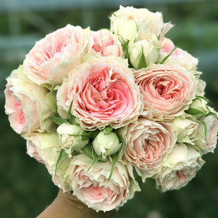 ��Ʒ��ľ�W���̨ϵ�����Ի���õ���¼������ڻ��༾ѭ�h�_������