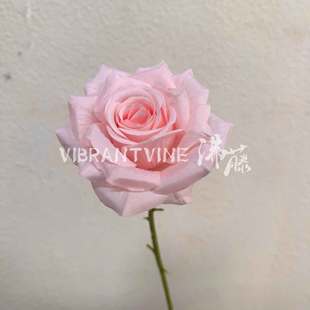New Single Artificial Rose Home Decoration Fake Flower Artificial Flower Wedding Hall Decoration Floral Arrangement Foreign Trade Wholesale
