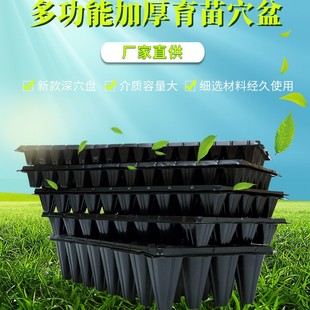 ����PѨ�P�Nֲ�P�߲˲�ݮ�{ݮș�����������@ˇ�̨��л���ֲ��