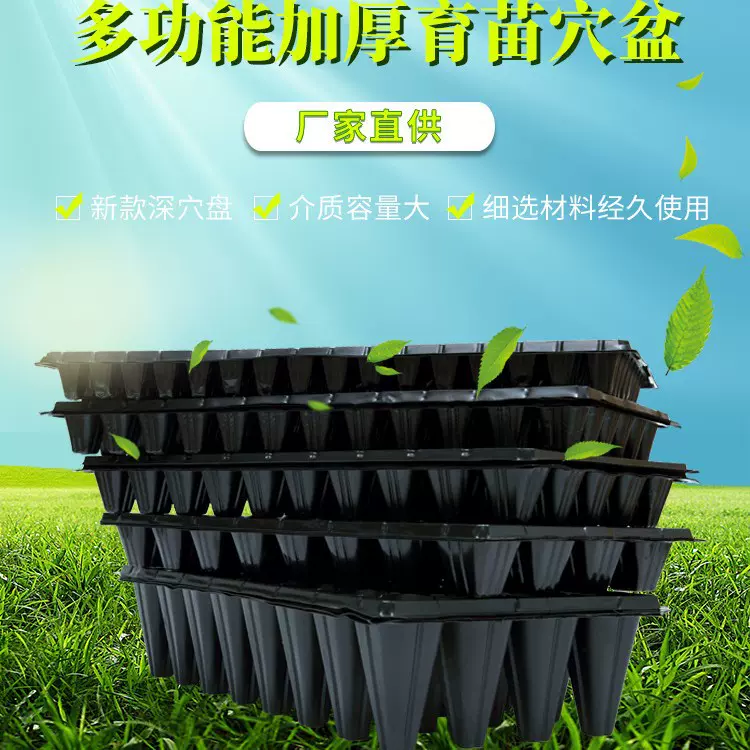育苗盘穴盘种植盘蔬菜草莓蓝莓药材培育容器园艺阳台苗盒花盆