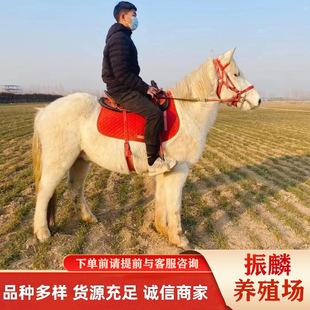 �F���Bֳʲô�ӵİ��R�T���R��ͯС���R���ﰫ�_�R���R