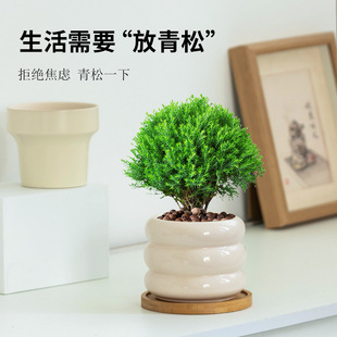 ���s�����ɂ��Ի����մ��҃��������͸��Gֲ����������[������