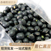 ���ɹŏS�����l���ʺڶ�  ����s�Zĥ�۬Fĥ���{ԭ�����ʞ��ڶ�